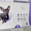 서정부부약국 이미지