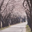 삼산1길 이미지