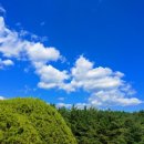 월곡동 산2번지 이미지