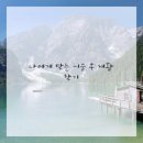 365매일한방병원 네이버블로그