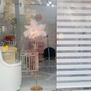 만두네 애견미용실 이미지