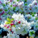 창조주의 이미지