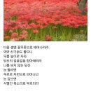 오늘의 小史 이미지