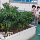 신계경로당 이미지