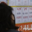 강원부동산 중개사무소 이미지