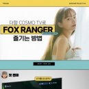 게임폭스 이미지