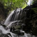 수도녹색숲모티길 이미지