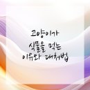 손 동물병원 이미지