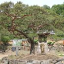 스토리가 있는 역사 이미지