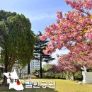 동해시립발한도서관 | 동해 묵호 여행 4월 묵호역 가볼만한곳 강원도 겹벚꽃 발한공원