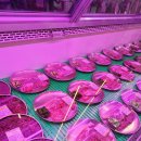 정육식당 이미지