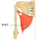 포유피티스튜디오 이미지