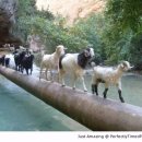 푸른건강원 이미지