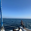 그랑블루 | 제주도 요트투어 추천 ⛵️ 서귀포 그랑블루요트 내돈내산 후기 (+운항시간표)