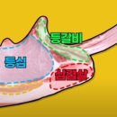 오돈가