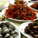 벌교IC Daum카페
