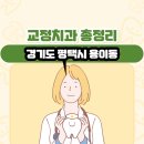 위드미 평택비전유안점 | 경기도 평택시 용이동 교정치과 총정리