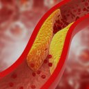 서울연합의원 이미지