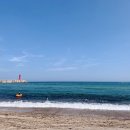 헬로우 민박 이미지