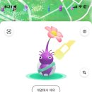 참성심약국 네이버블로그