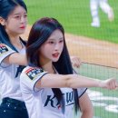 아이돌