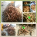 김종군농장 이미지