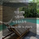 Playa | [신혼여행] 칸쿤숙소 칸쿤신혼여행숙소 La Casa de la Playa Xcaret SUITE WELLNESS 후기 수영장