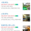 하얀집펜션 이미지