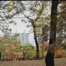 백옥세탁소 이미지