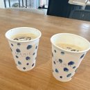 [제주스냅] 드메 토탈 웨딩 스냅 마리에 제주 (추가요금, 세단렌트, 간식준비, 유색드레스)
