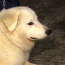 상근이 아들 '상돈이' 이미지