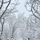 영남알프스 천황산-재약산-고헌산 눈꽃 산행 최단 코스 동영상 후기