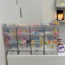 선하다 - 동작구 | 동두천 속눈썹, 선하다에서 속눈썹펌 만족한 후기
