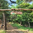소산서원 유아숲체험원 이미지