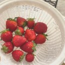 터알농장 이미지