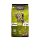 레오나르도 이미지