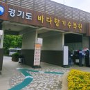들꽃이 있는 바다 | (안산) 가볼만한곳 대부도 바다향기수목원 입장료 주차비