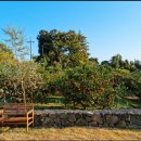 의귀하루 이미지