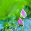 직업소개소 - 북구 연암로 50 | 직업소개소