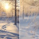 모디 (modi) 이미지