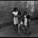 레빗(Levit) 이미지