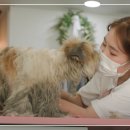 동탄공원로1길 이미지