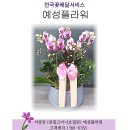 아담플라워