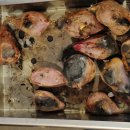 이레민박 이미지