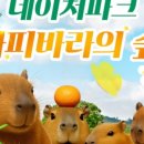네이처링크