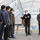 이지원카 이미지