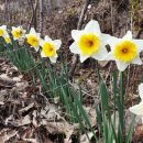 화순허브뜨락 이미지