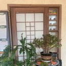 삼육사로19 이미지