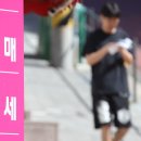 철이부동산중개사무소 조선비즈