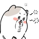 용마복권 이미지